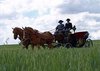 Coches de Caballos