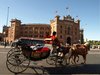 Coches de Caballos